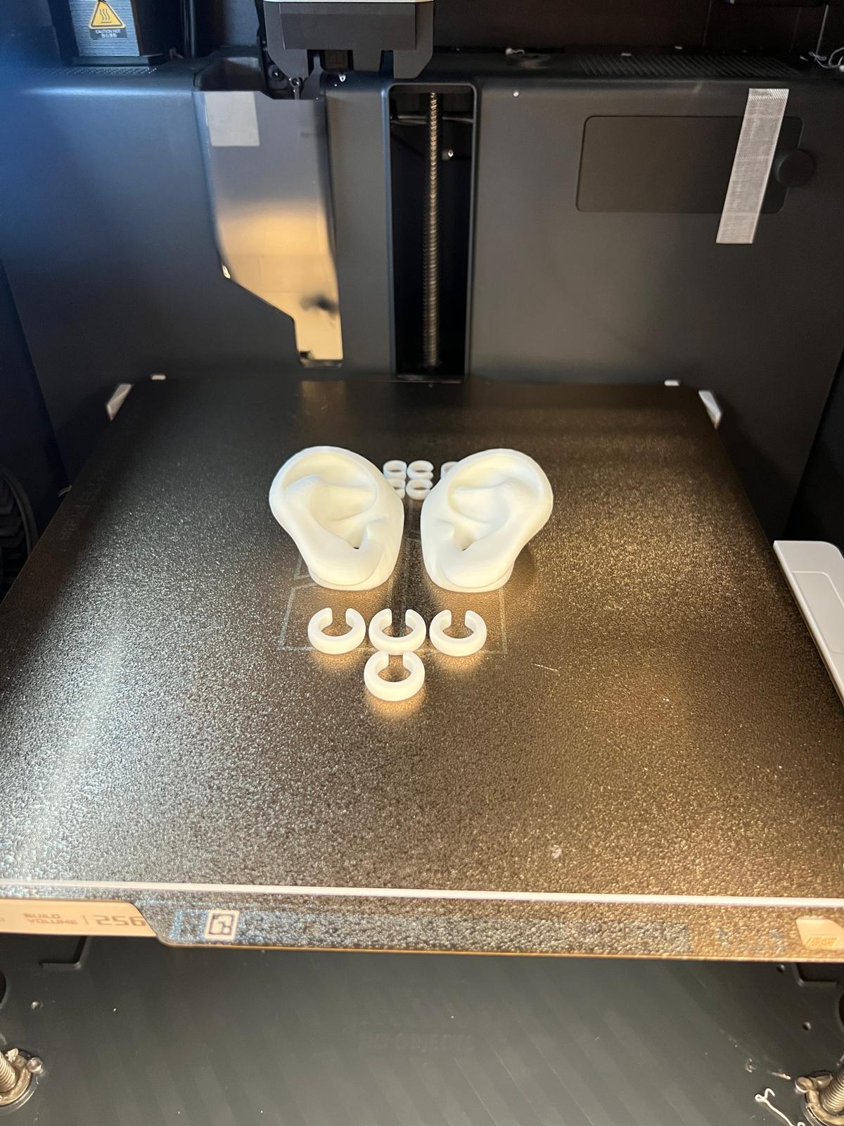 Printed ear model